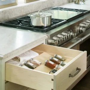 Drawer with Orginizer